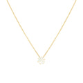Collar Punto de Luz Bañado en Oro 18k